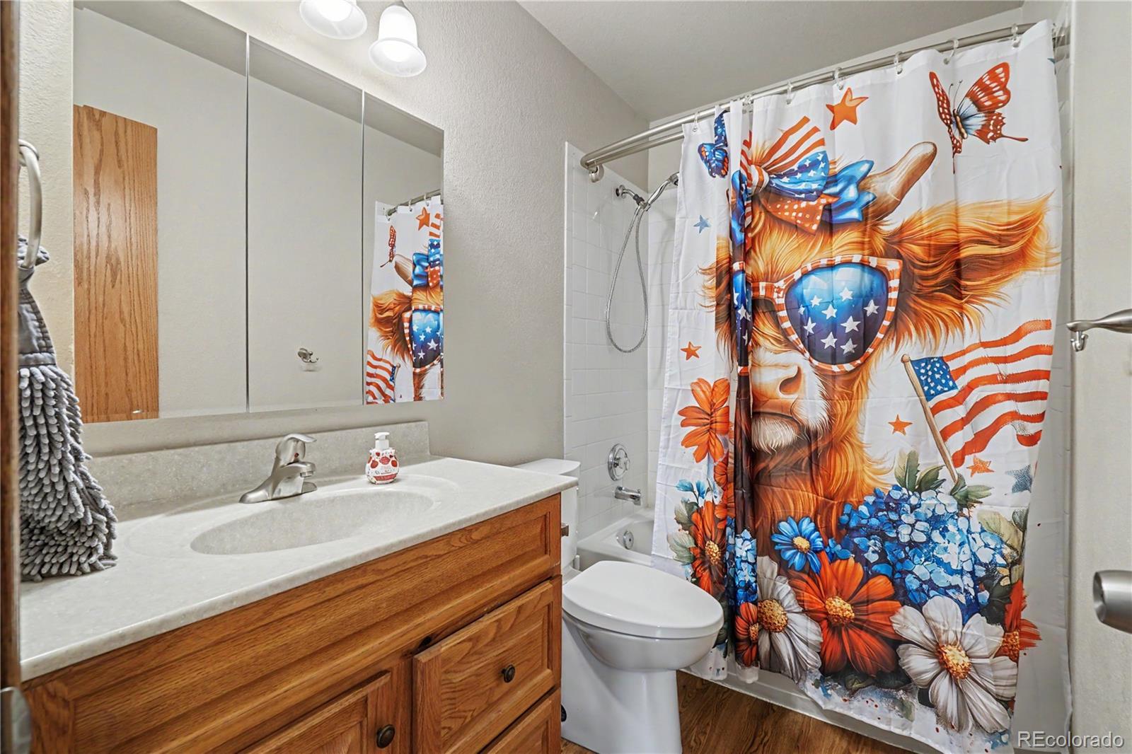 MLS Image #15 for 390 e 48th street,loveland, Colorado