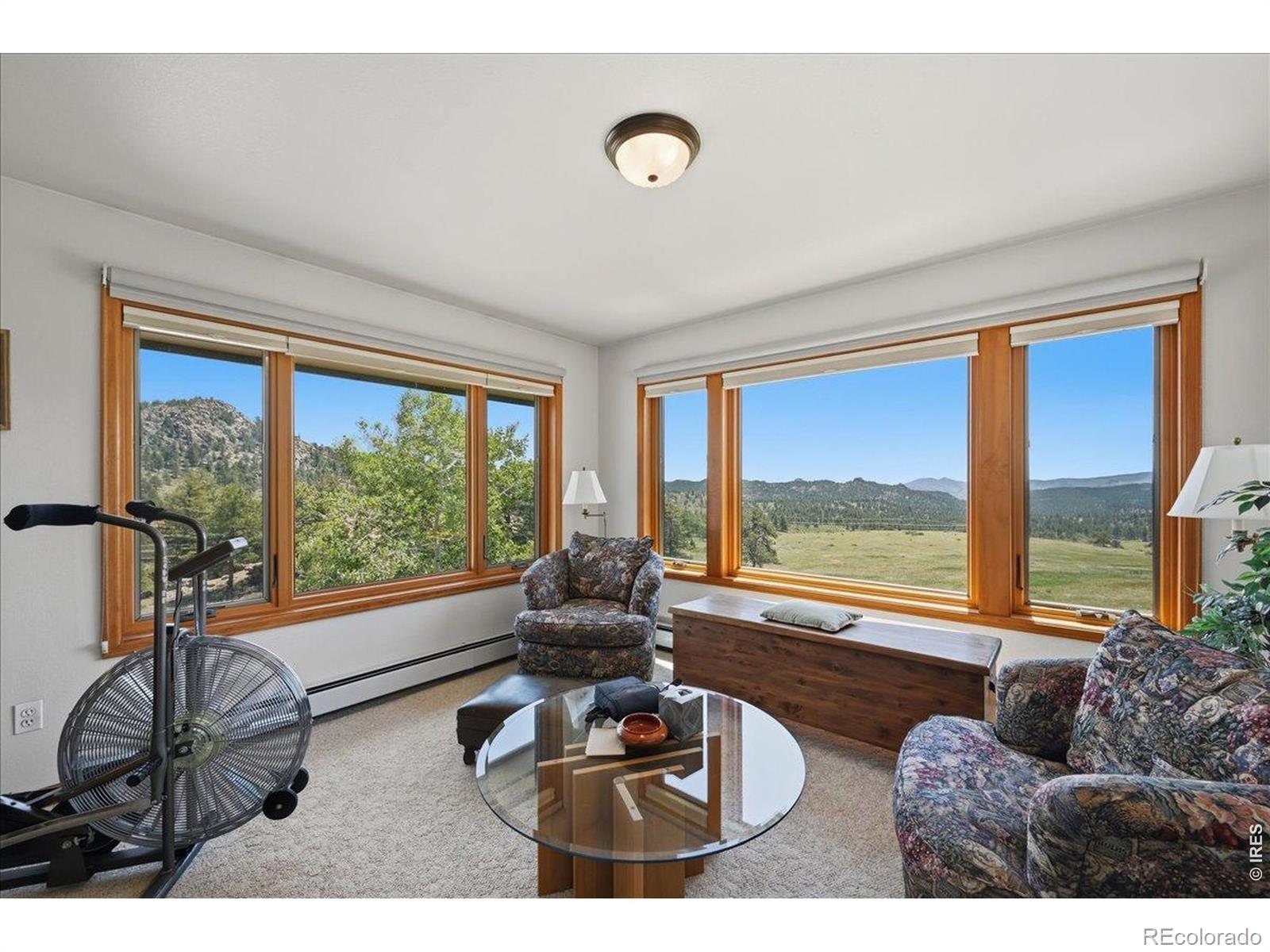 MLS Image #20 for 17311 w county road 74e ,red feather lakes, Colorado