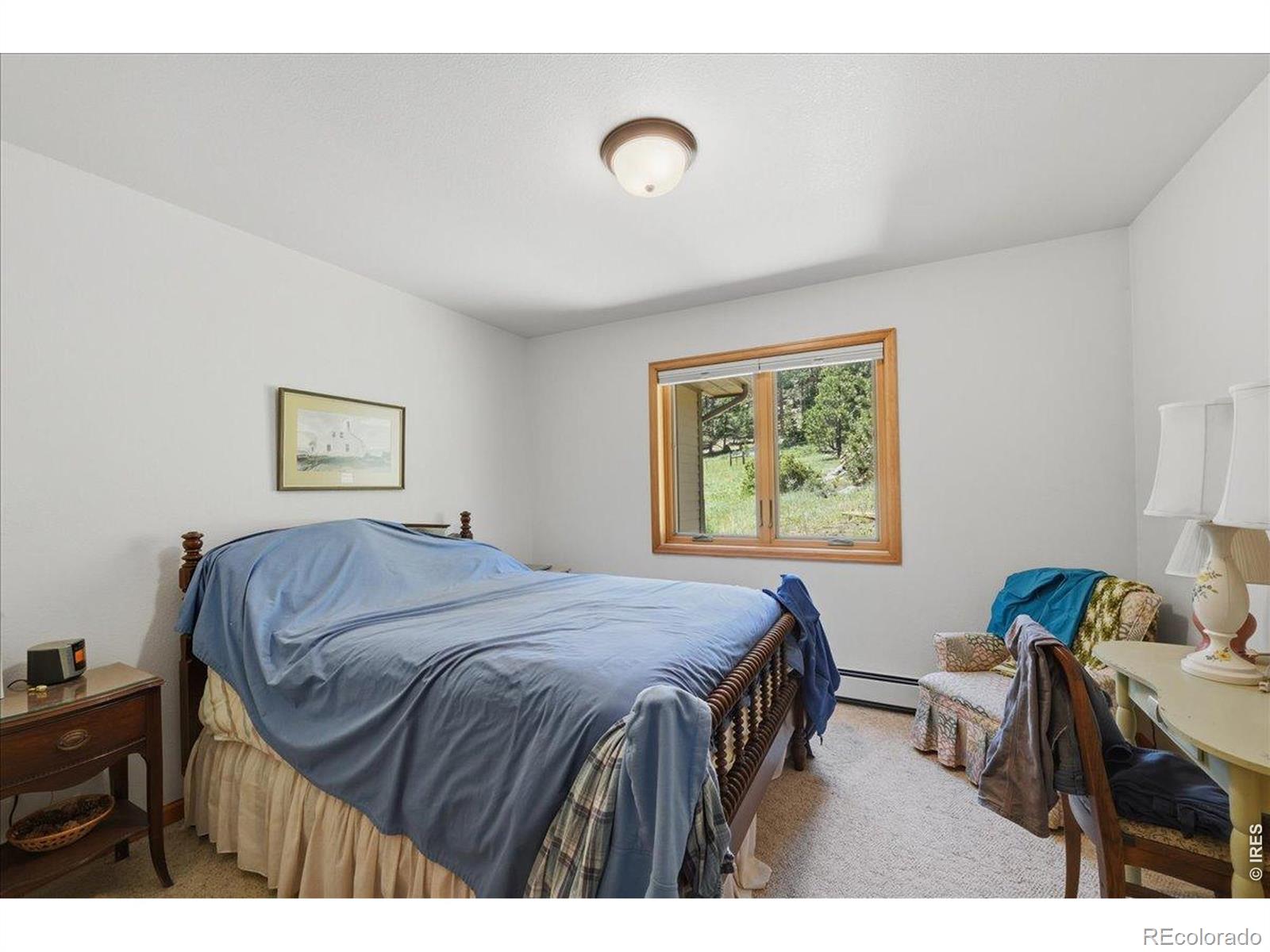 MLS Image #24 for 17311 w county road 74e ,red feather lakes, Colorado