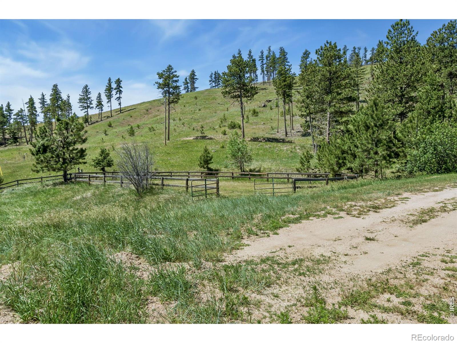 MLS Image #31 for 12592  rist canyon road,bellvue, Colorado