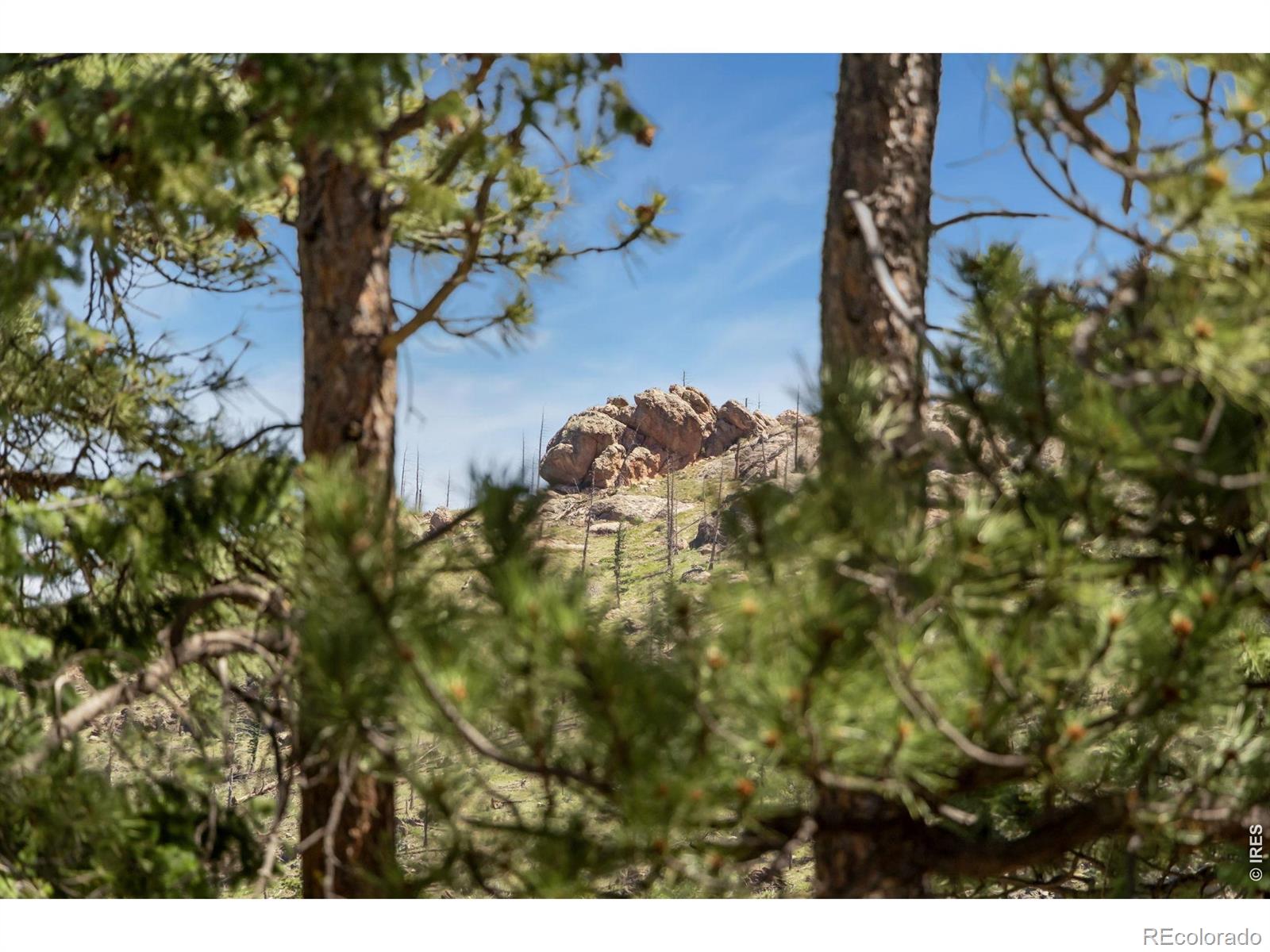 MLS Image #43 for 12592  rist canyon road,bellvue, Colorado