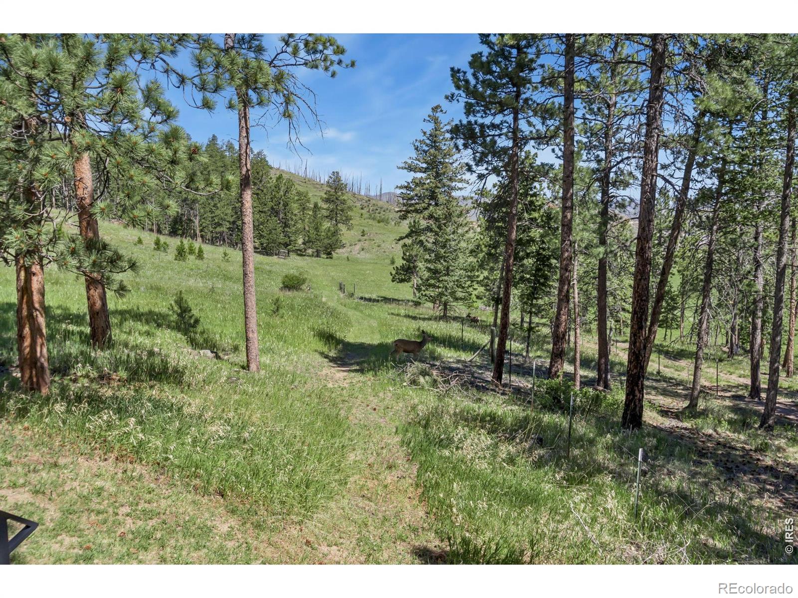 MLS Image #44 for 12592  rist canyon road,bellvue, Colorado