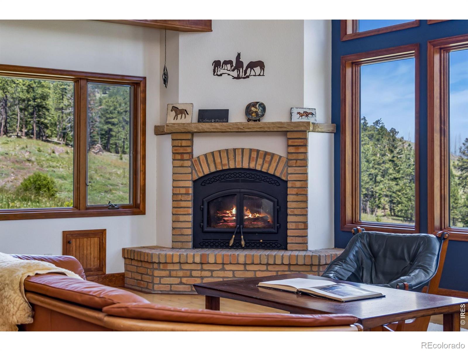 MLS Image #9 for 12592  rist canyon road,bellvue, Colorado