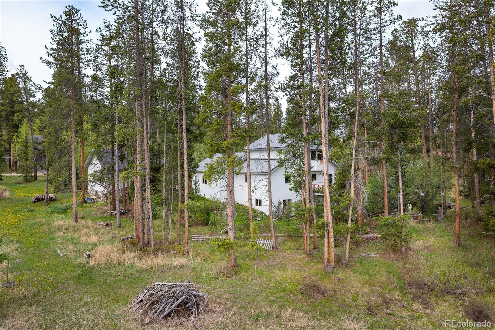 MLS Image #21 for 201  hughes avenue,fraser, Colorado