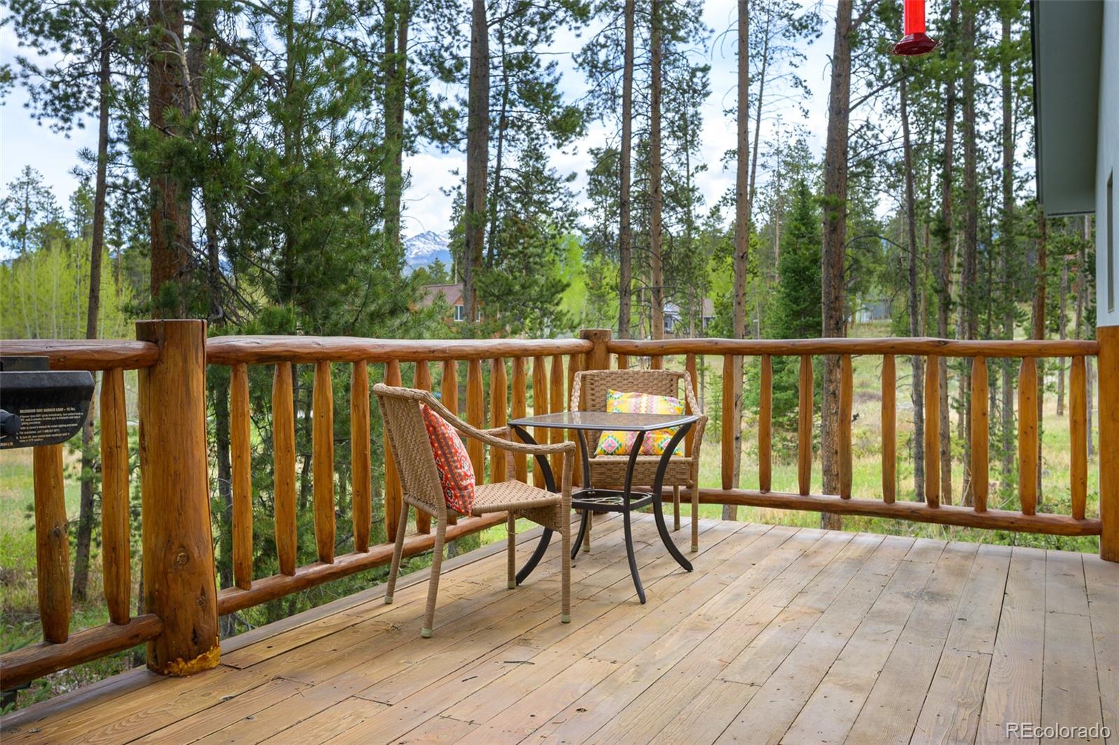 MLS Image #5 for 201  hughes avenue,fraser, Colorado