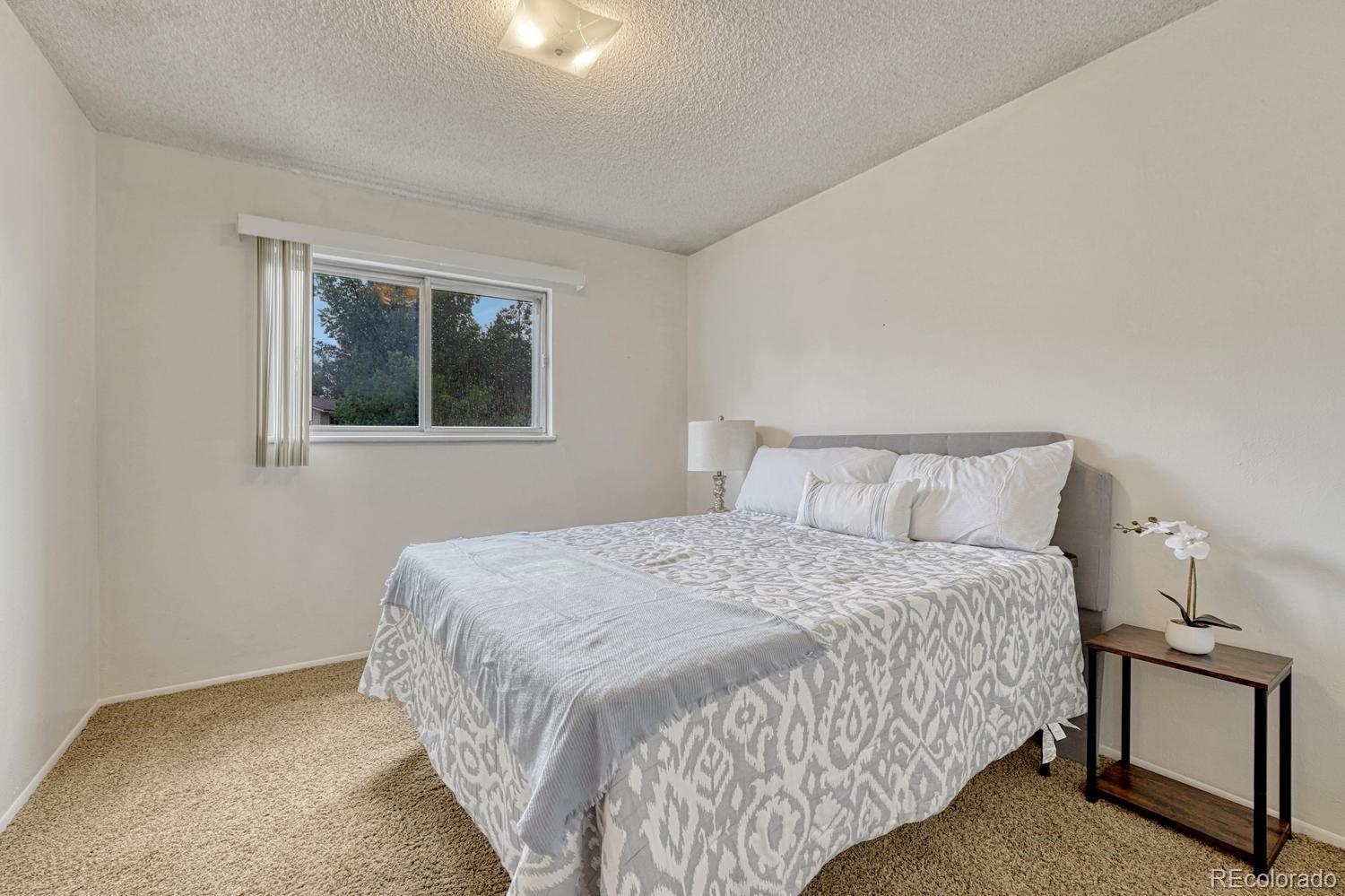 MLS Image #21 for 3301  marion drive,colorado springs, Colorado