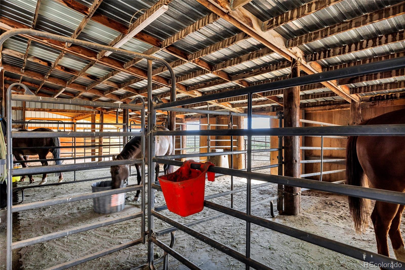 MLS Image #27 for 24315  speer road,calhan, Colorado