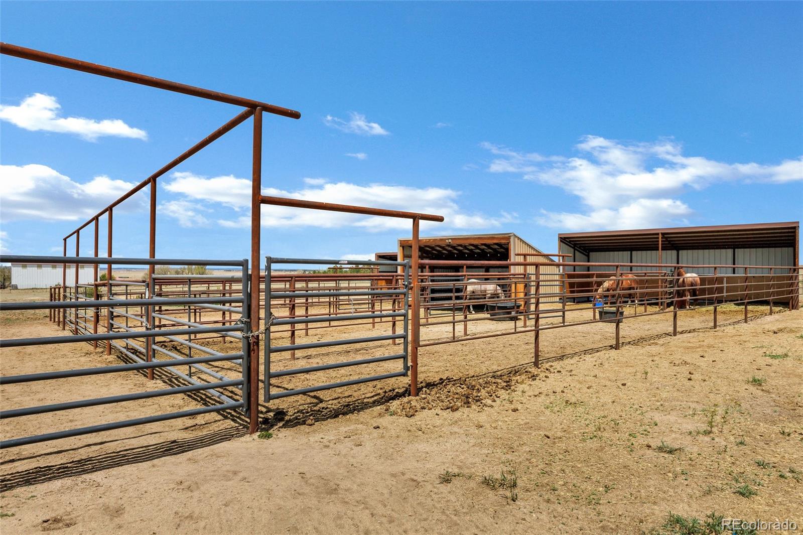 MLS Image #29 for 24315  speer road,calhan, Colorado