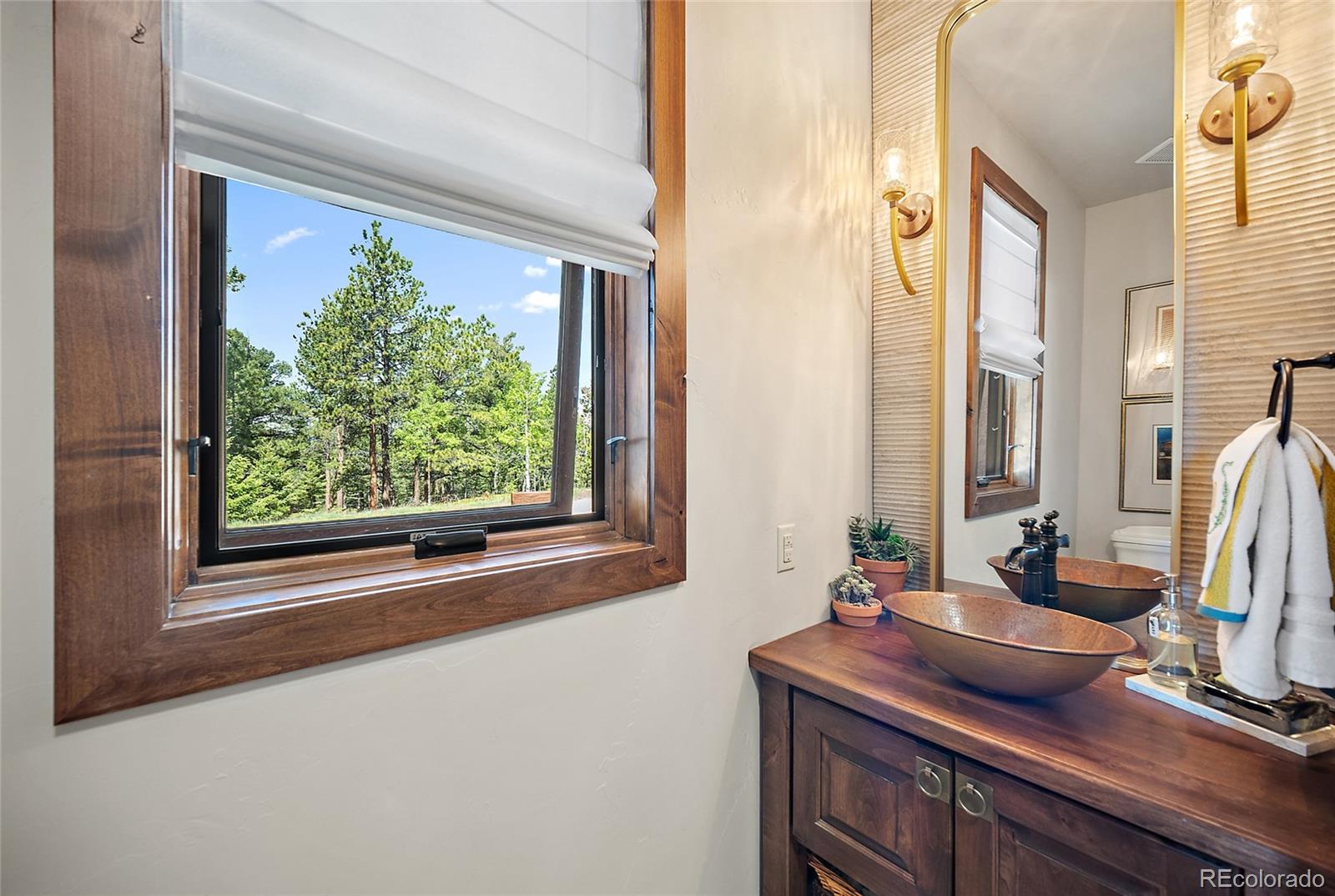 MLS Image #14 for 4267  county road 51 ,divide, Colorado