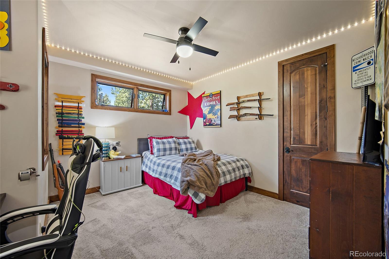 MLS Image #15 for 4267  county road 51 ,divide, Colorado