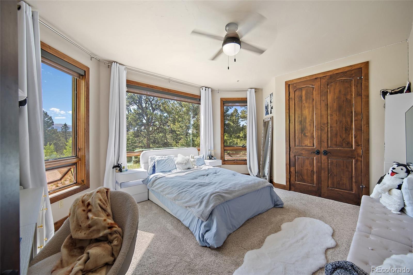MLS Image #16 for 4267  county road 51 ,divide, Colorado