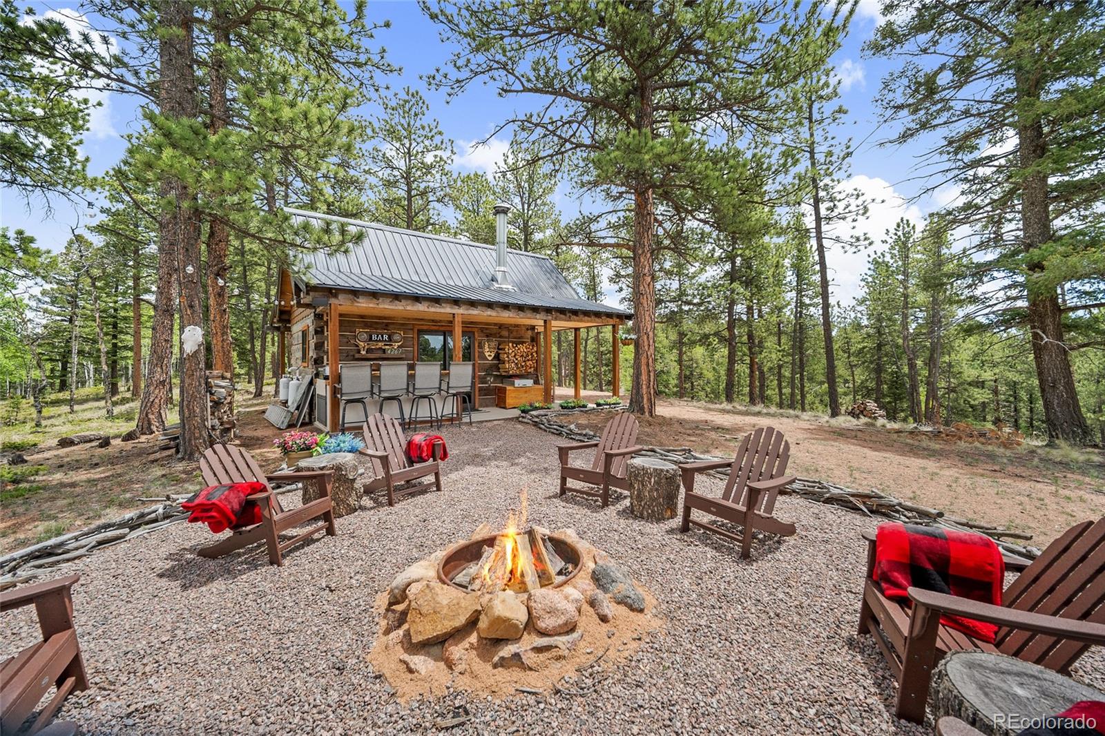 MLS Image #2 for 4267  county road 51 ,divide, Colorado