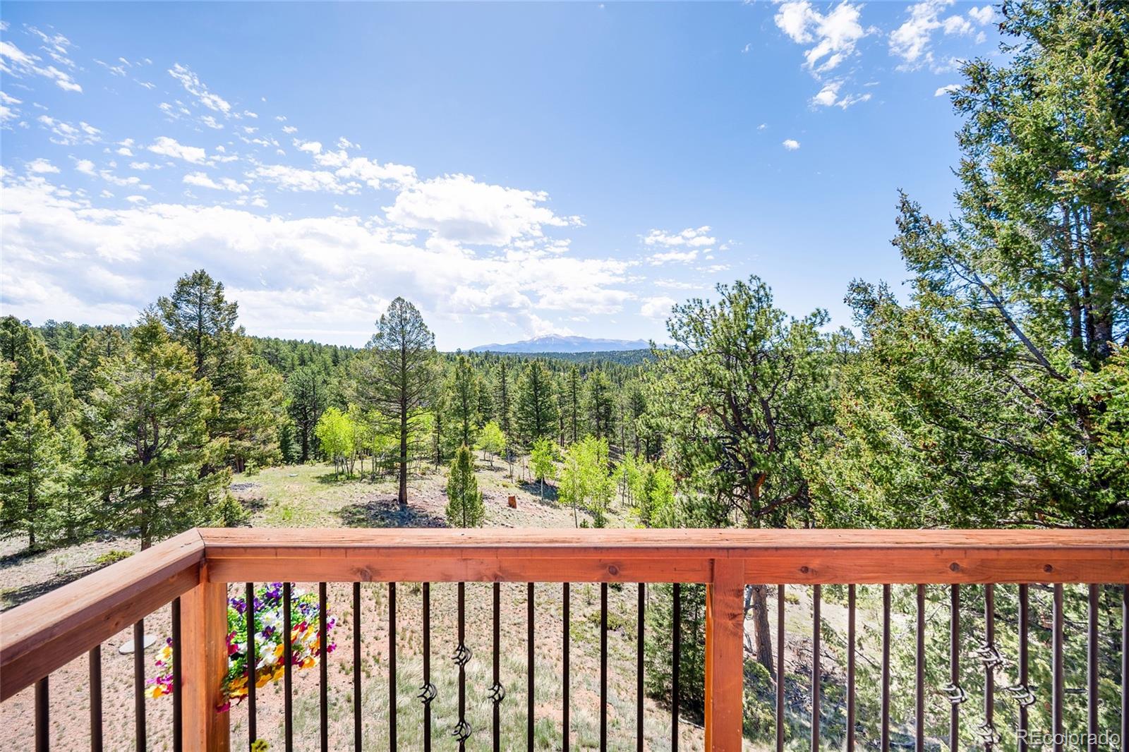MLS Image #24 for 4267  county road 51 ,divide, Colorado