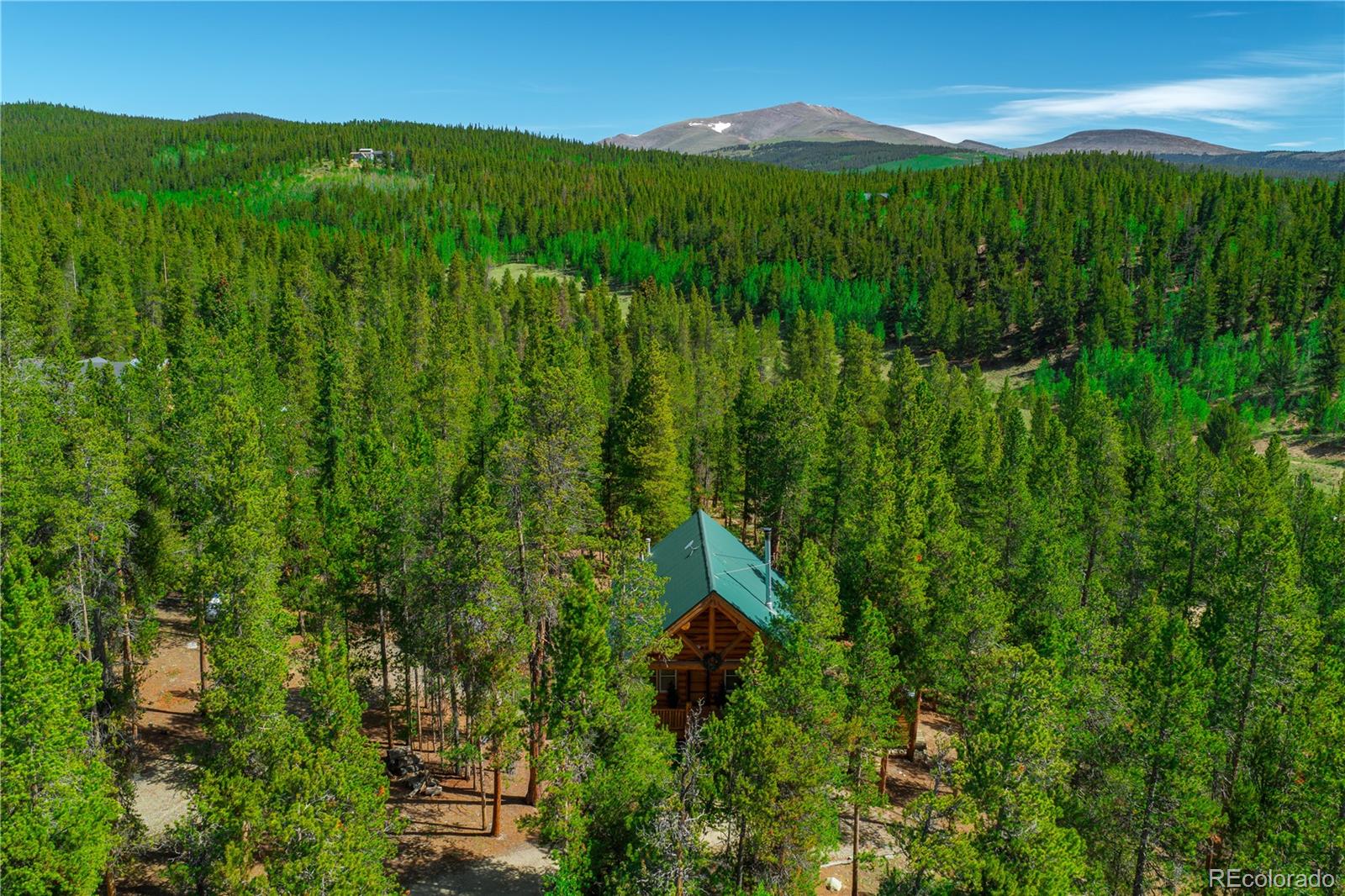 MLS Image #7 for 324  ski doo road,fairplay, Colorado