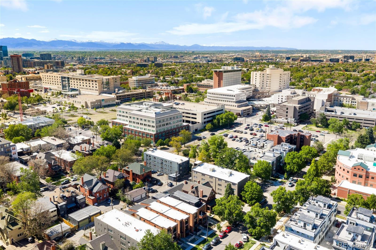 MLS Image #27 for 1763 n williams  street ,denver, Colorado