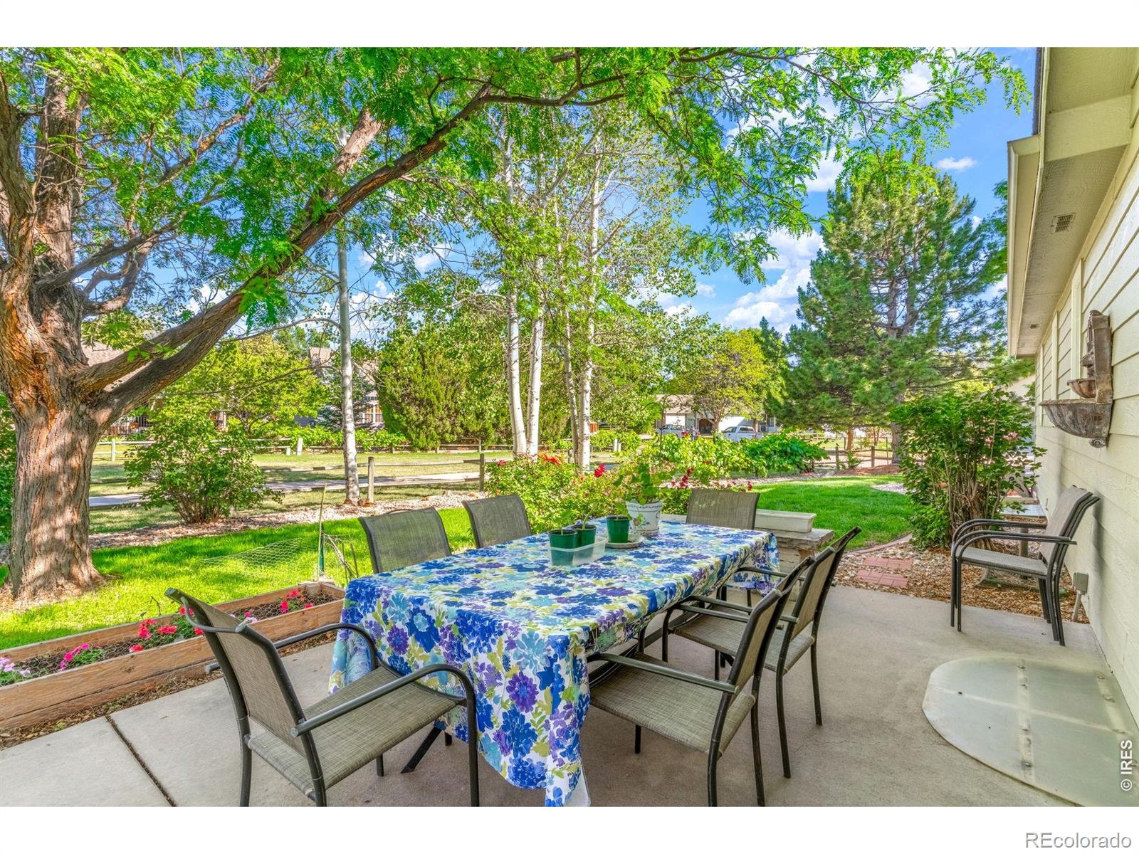 MLS Image #2 for 312  holladay court,loveland, Colorado