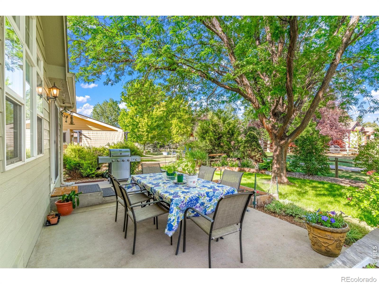 MLS Image #31 for 312  holladay court,loveland, Colorado