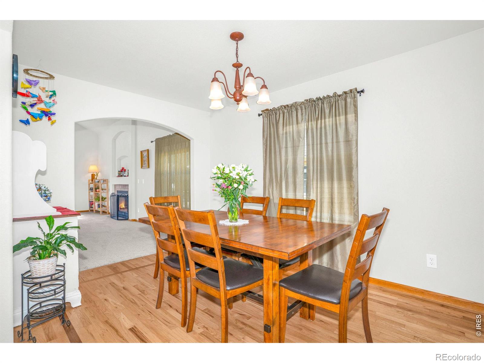 MLS Image #8 for 312  holladay court,loveland, Colorado