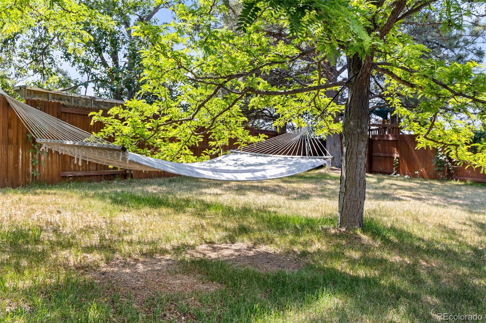 MLS Image #43 for 211  durham court,castle rock, Colorado