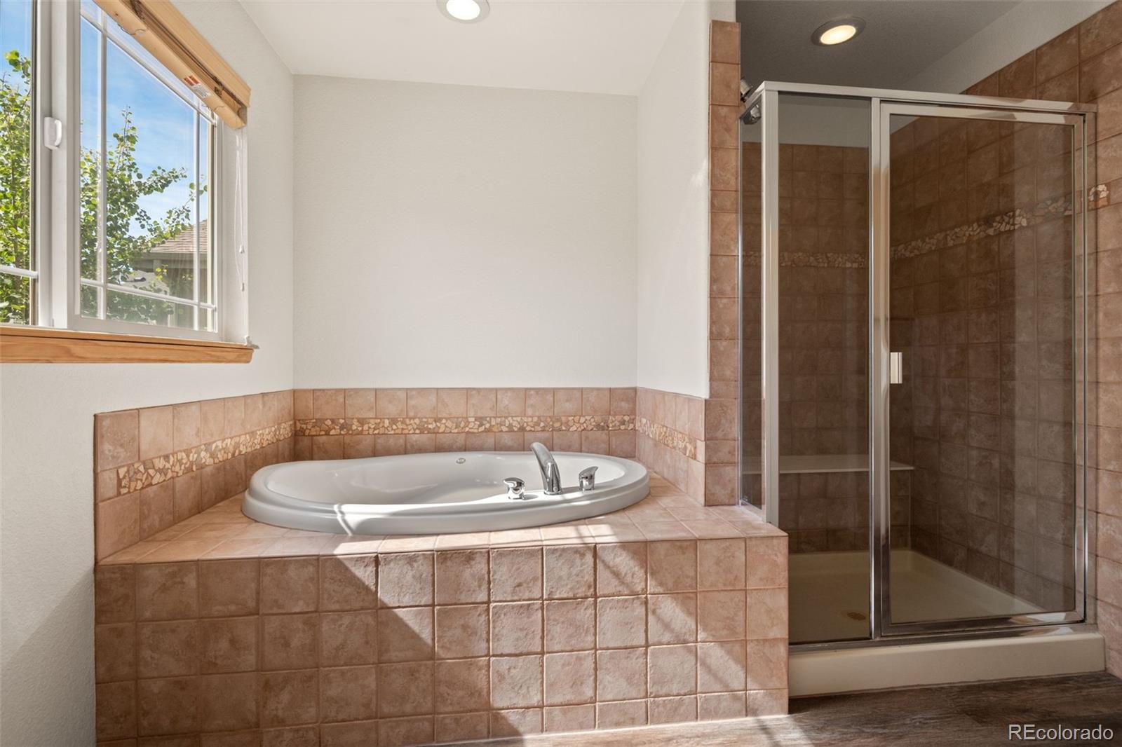 MLS Image #21 for 14149  whitney circle,broomfield, Colorado