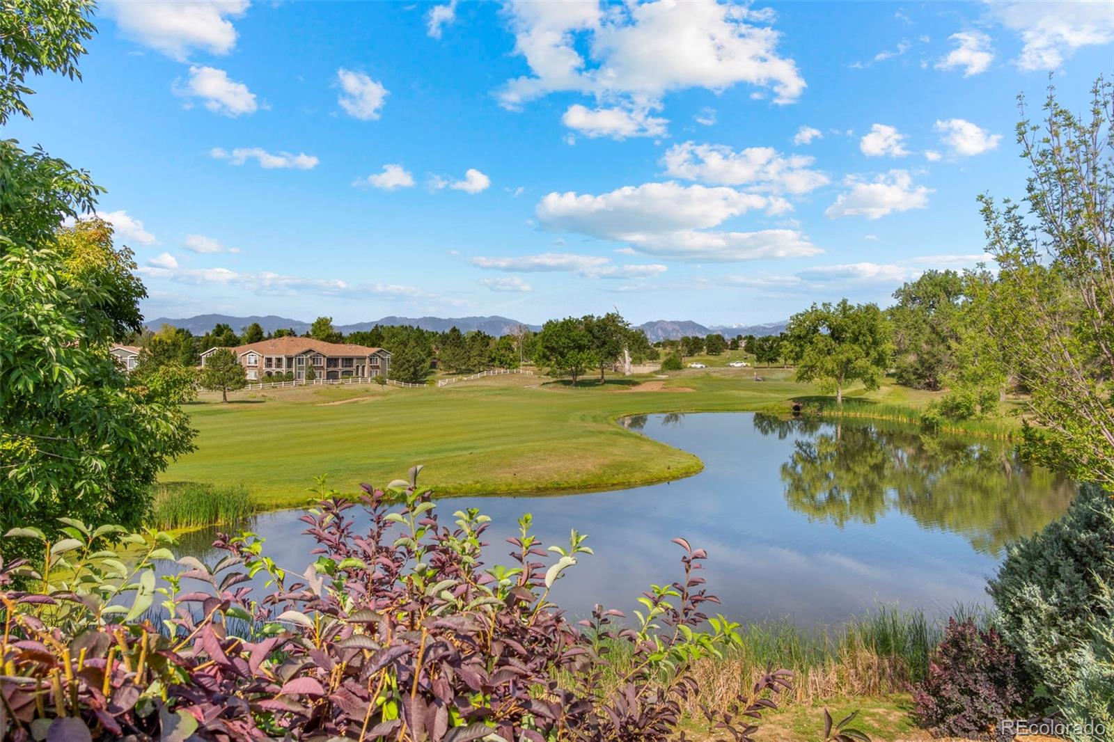MLS Image #34 for 14149  whitney circle,broomfield, Colorado