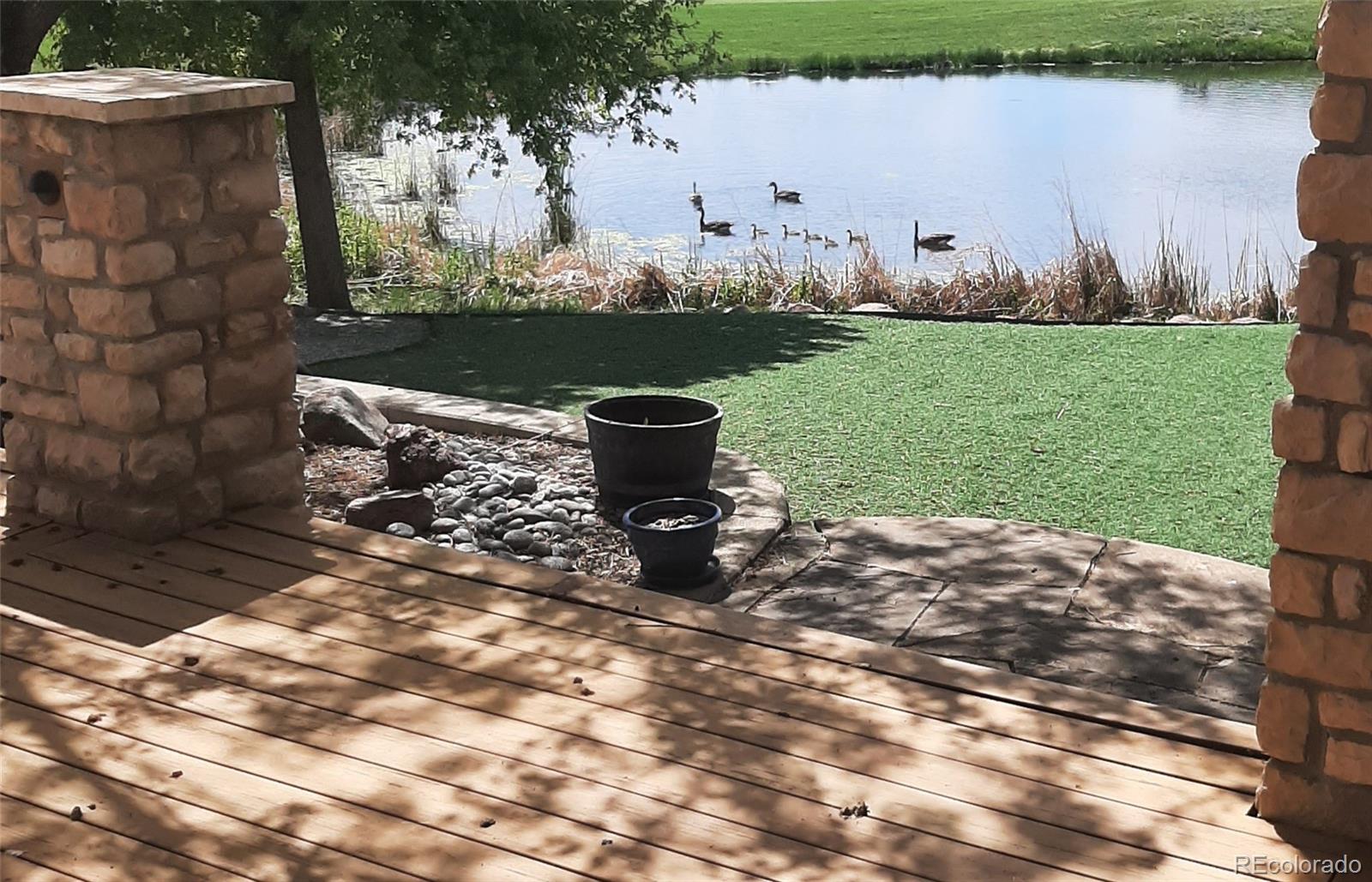 MLS Image #36 for 14149  whitney circle,broomfield, Colorado