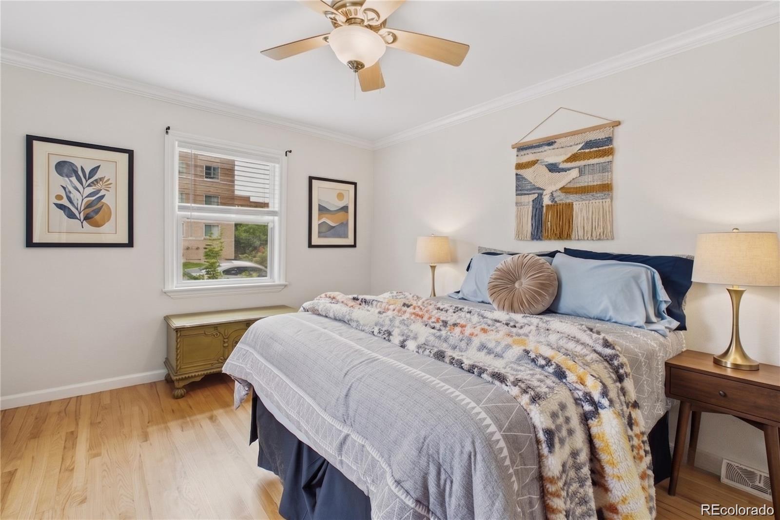 MLS Image #3 for 1244  albion street,denver, Colorado