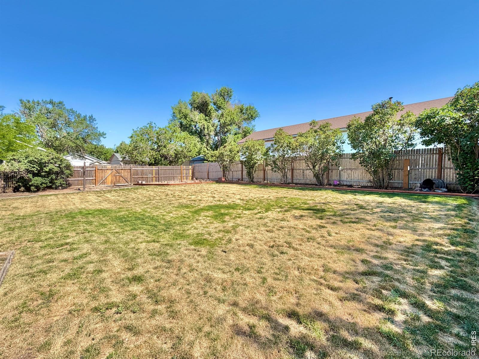 MLS Image #19 for 224  centennial drive,kersey, Colorado