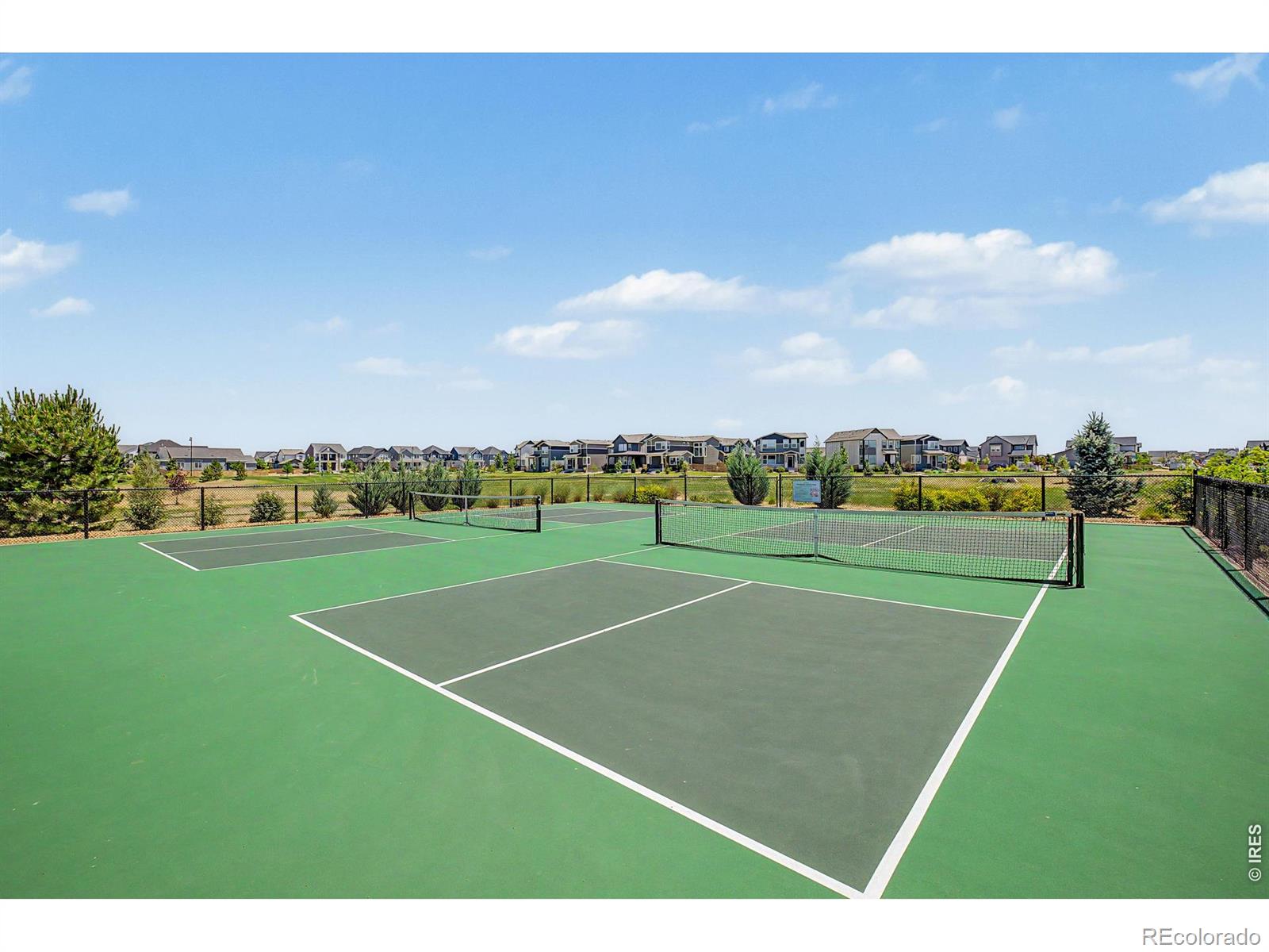MLS Image #43 for 5974  rendezvous parkway,timnath, Colorado