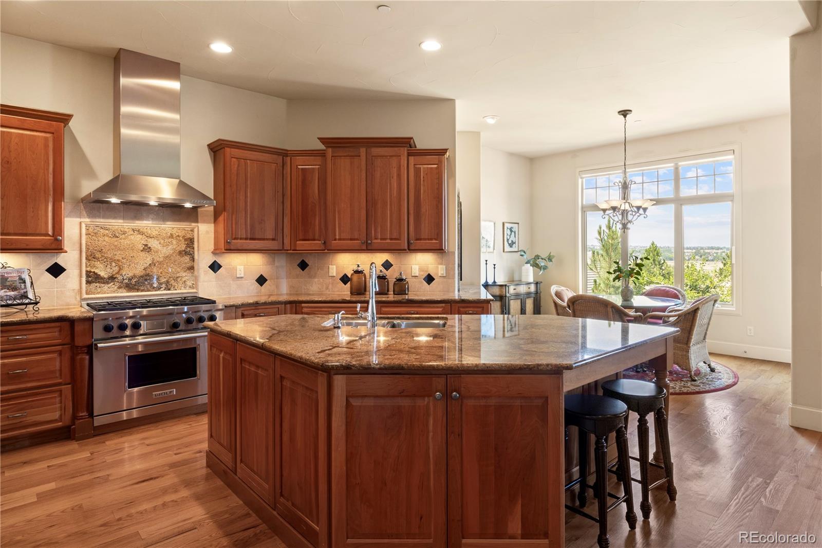 MLS Image #16 for 5112  pine river trail,castle rock, Colorado