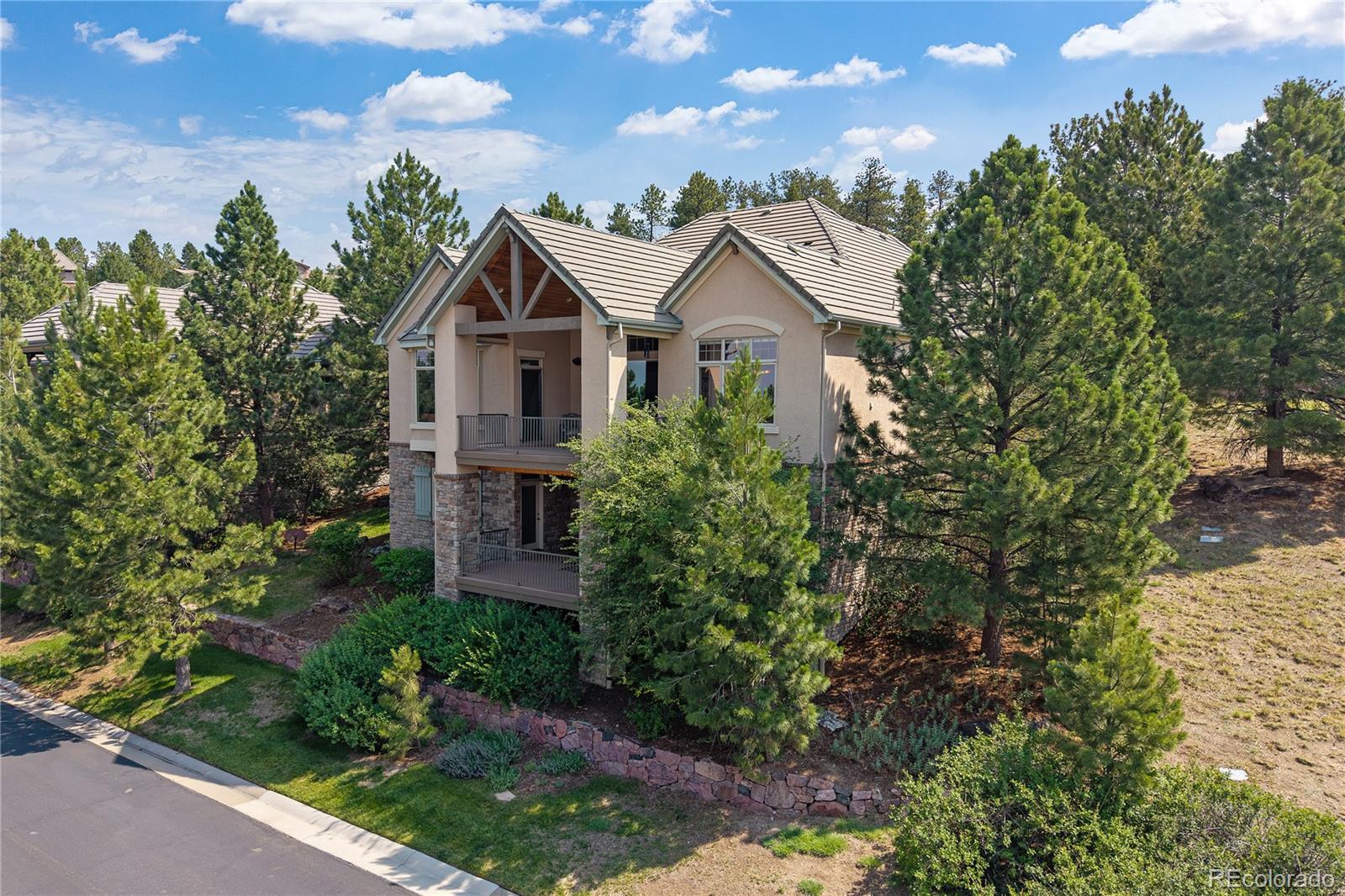 MLS Image #3 for 5112  pine river trail,castle rock, Colorado