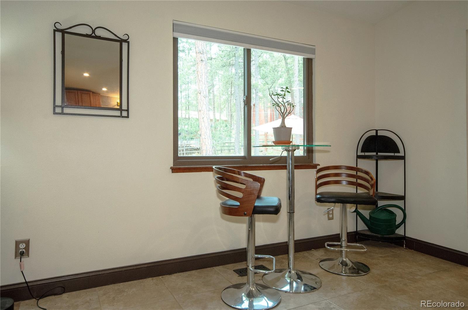 MLS Image #10 for 1405  becky drive,colorado springs, Colorado