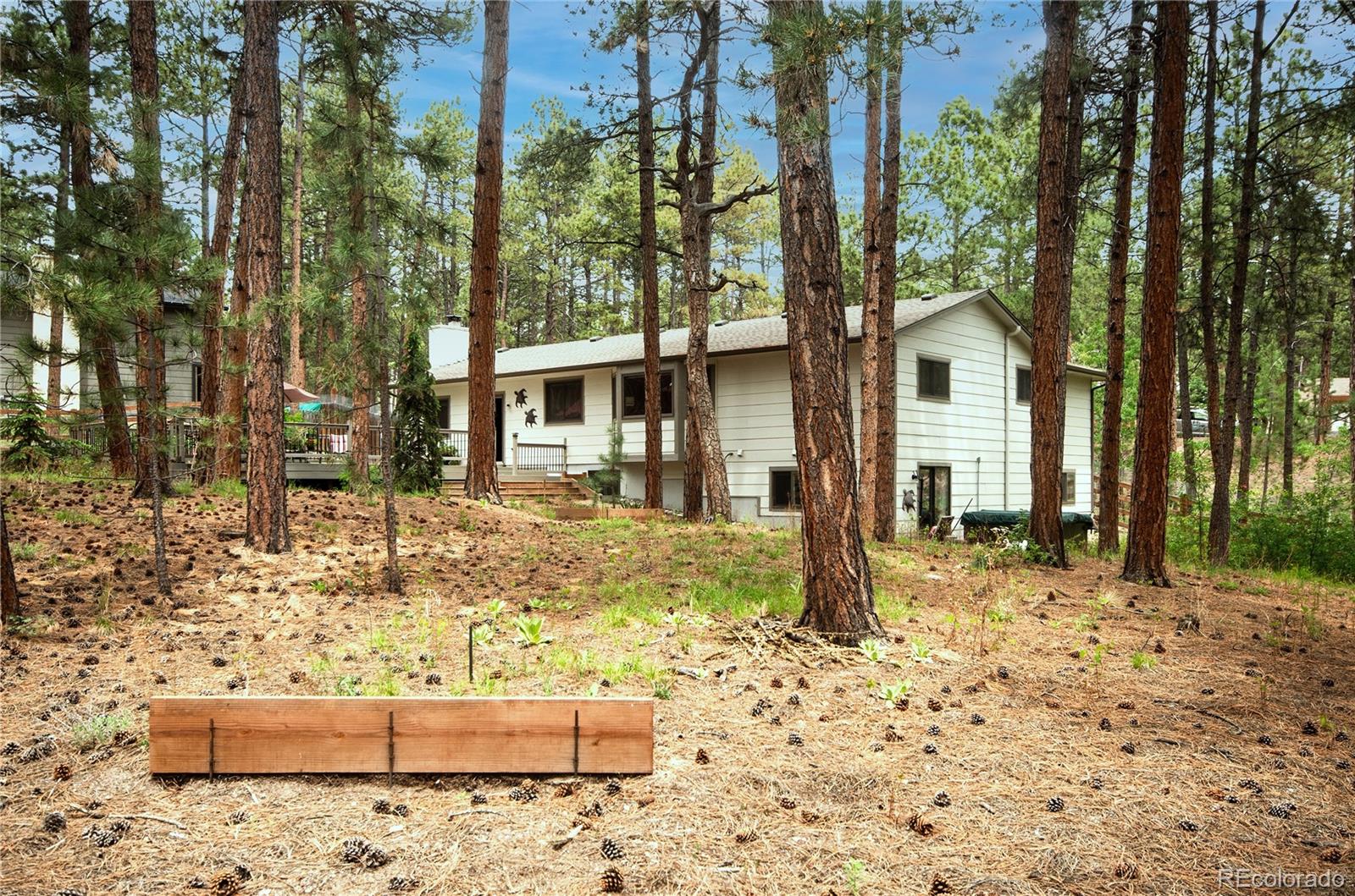 MLS Image #43 for 1405  becky drive,colorado springs, Colorado