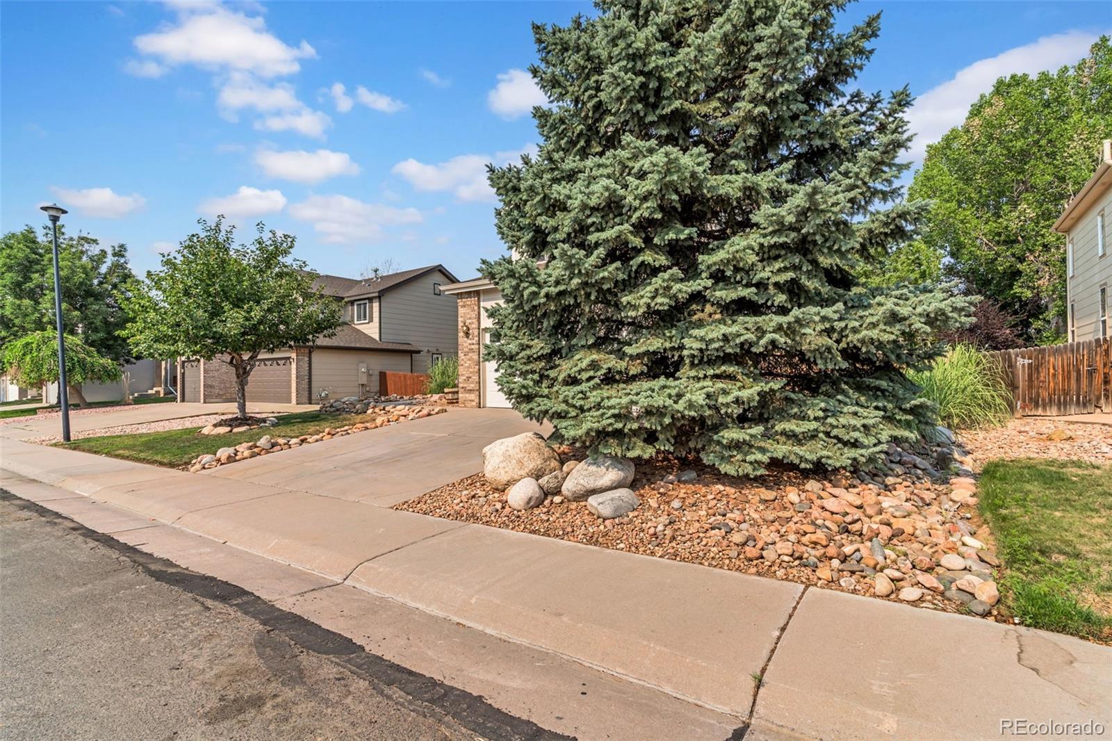 MLS Image #4 for 12615  dexter street,thornton, Colorado