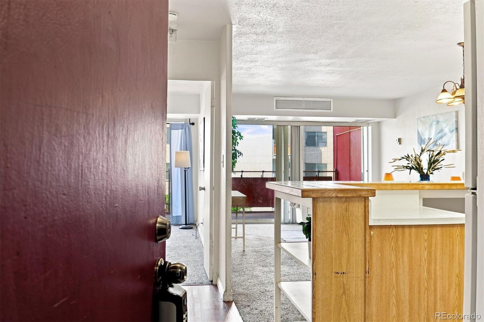 MLS Image #10 for 1121  albion street,denver, Colorado