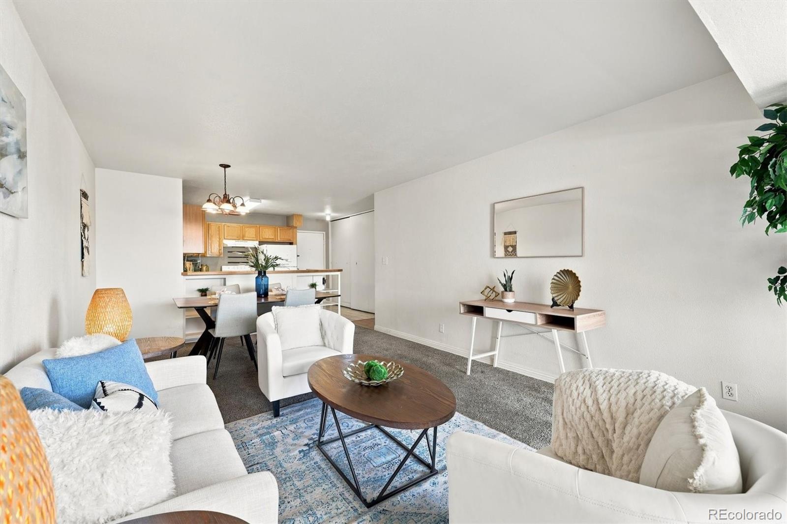MLS Image #18 for 1121  albion street,denver, Colorado