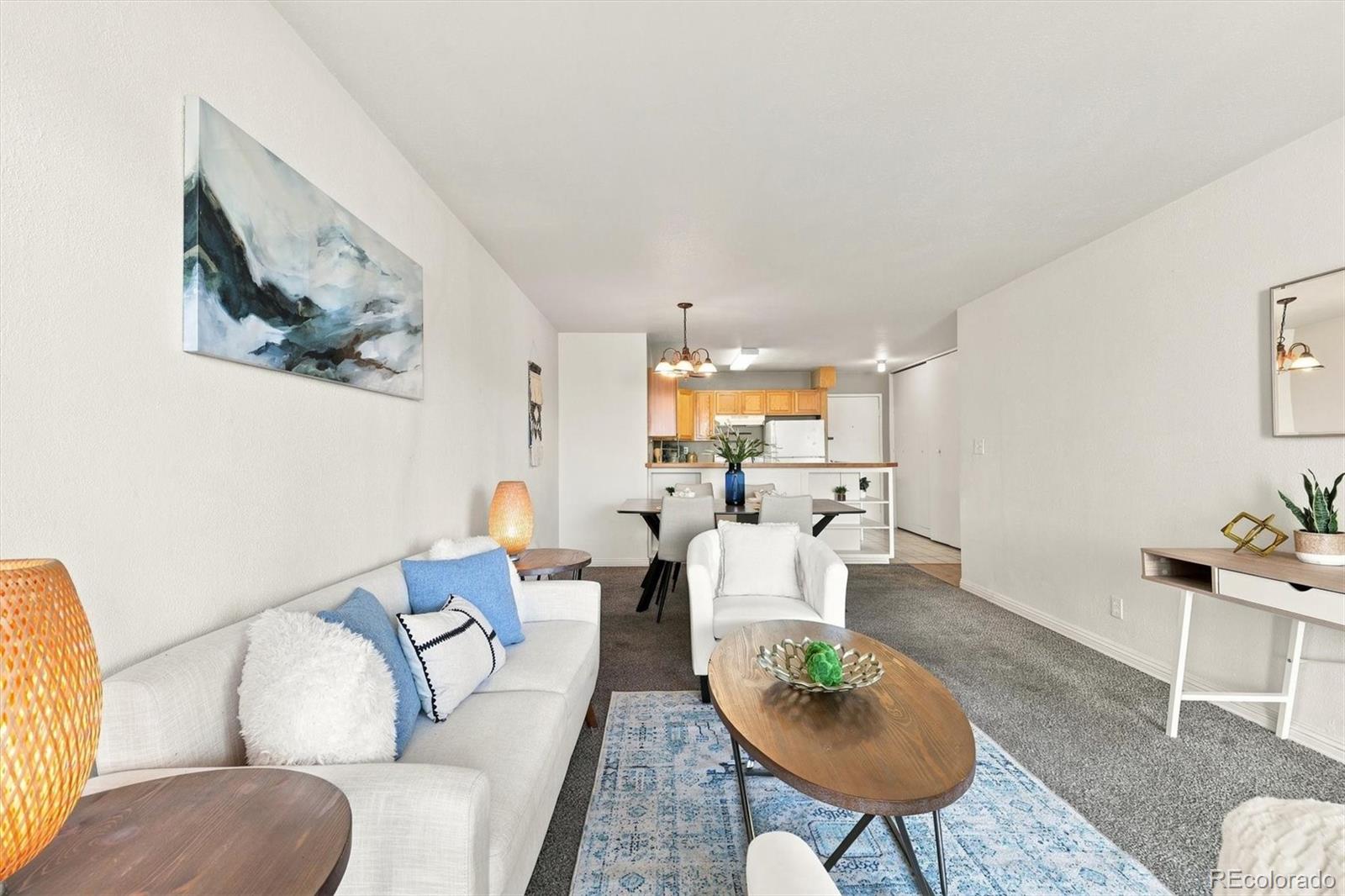 MLS Image #20 for 1121  albion street,denver, Colorado