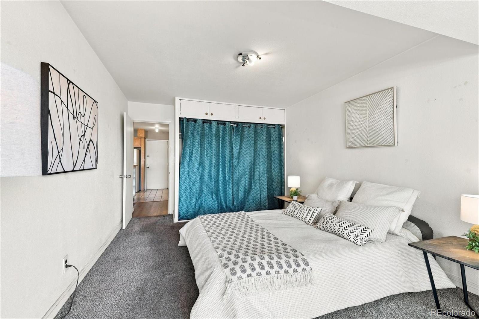 MLS Image #21 for 1121  albion street,denver, Colorado