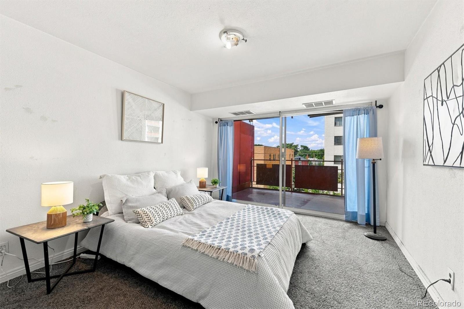 MLS Image #3 for 1121  albion street,denver, Colorado