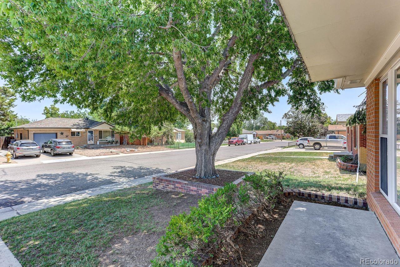MLS Image #3 for 292  linda sue lane,denver, Colorado
