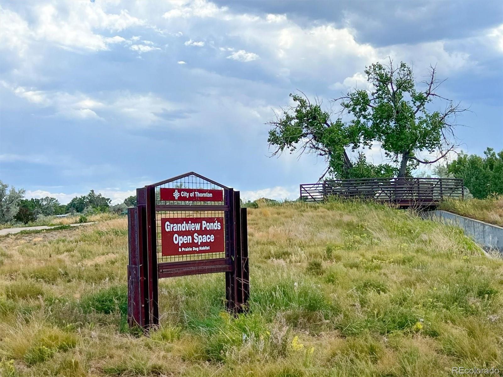 MLS Image #32 for 3261 e 103rd place,denver, Colorado