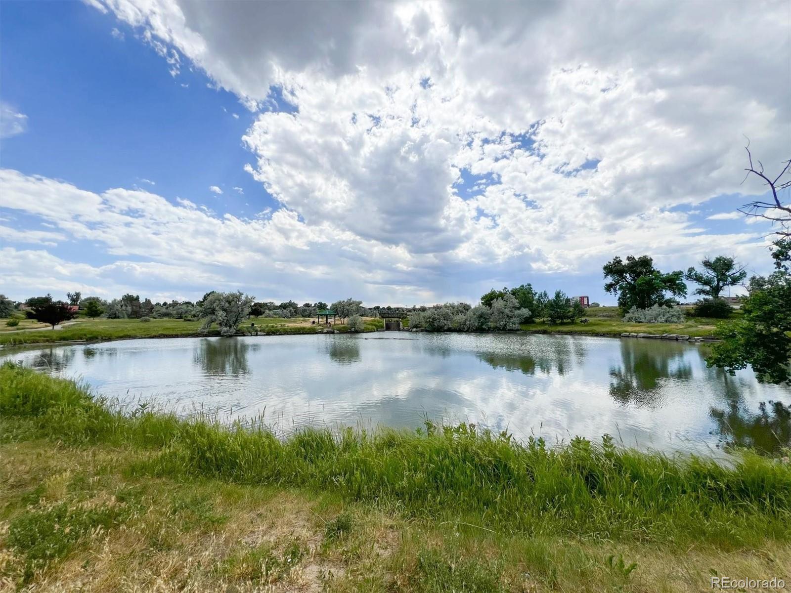 MLS Image #34 for 3261 e 103rd place,denver, Colorado