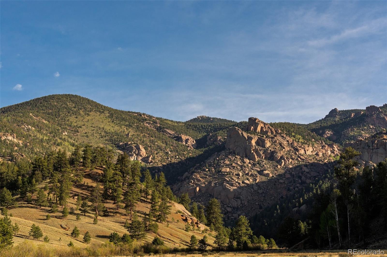 MLS Image #4 for 25800  cr-77 ,jefferson, Colorado