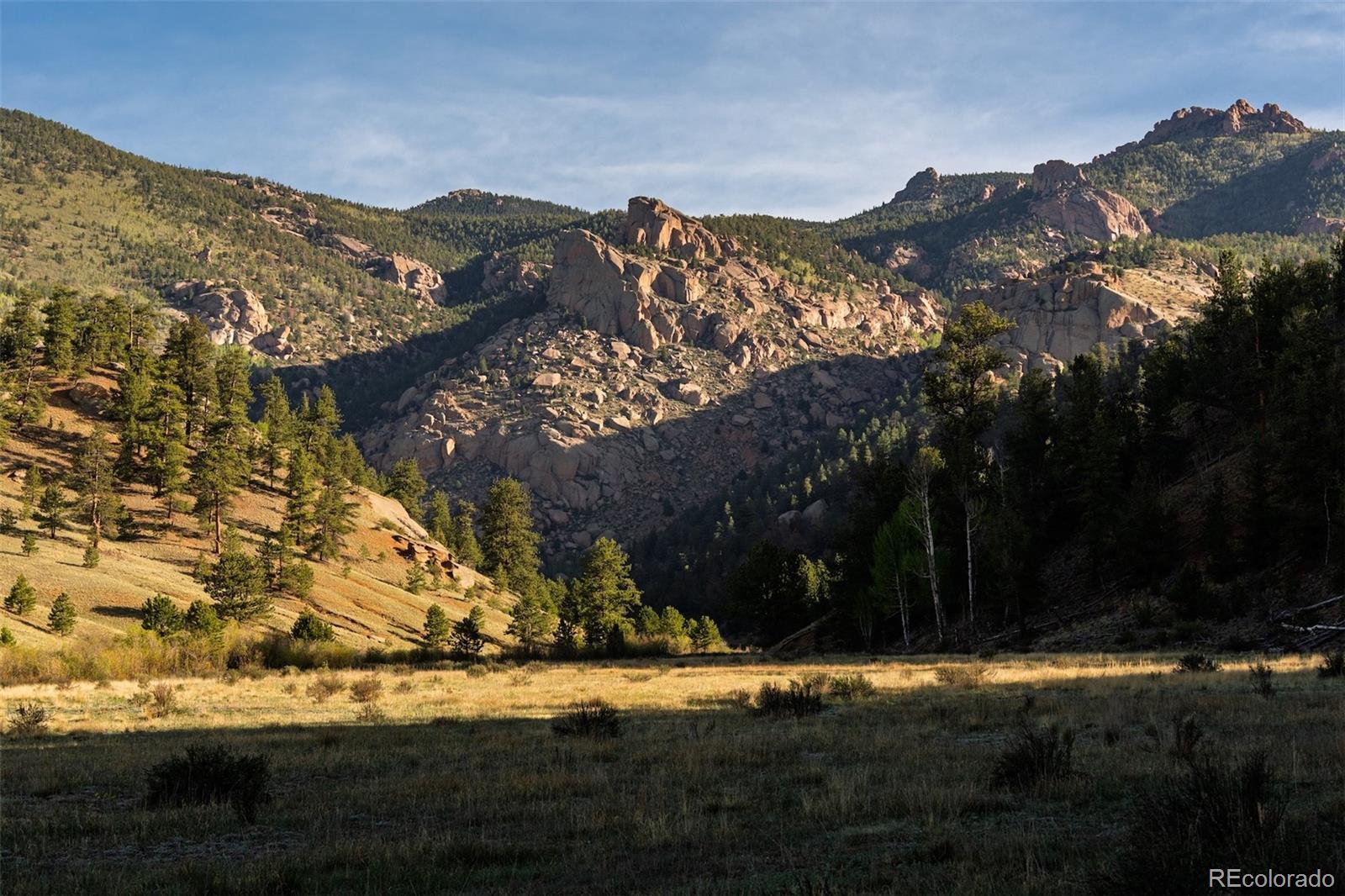 MLS Image #5 for 25800  cr-77 ,jefferson, Colorado