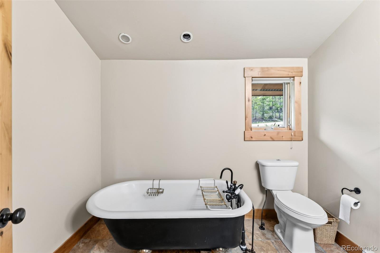 MLS Image #15 for 178  indiana creek drive,breckenridge, Colorado