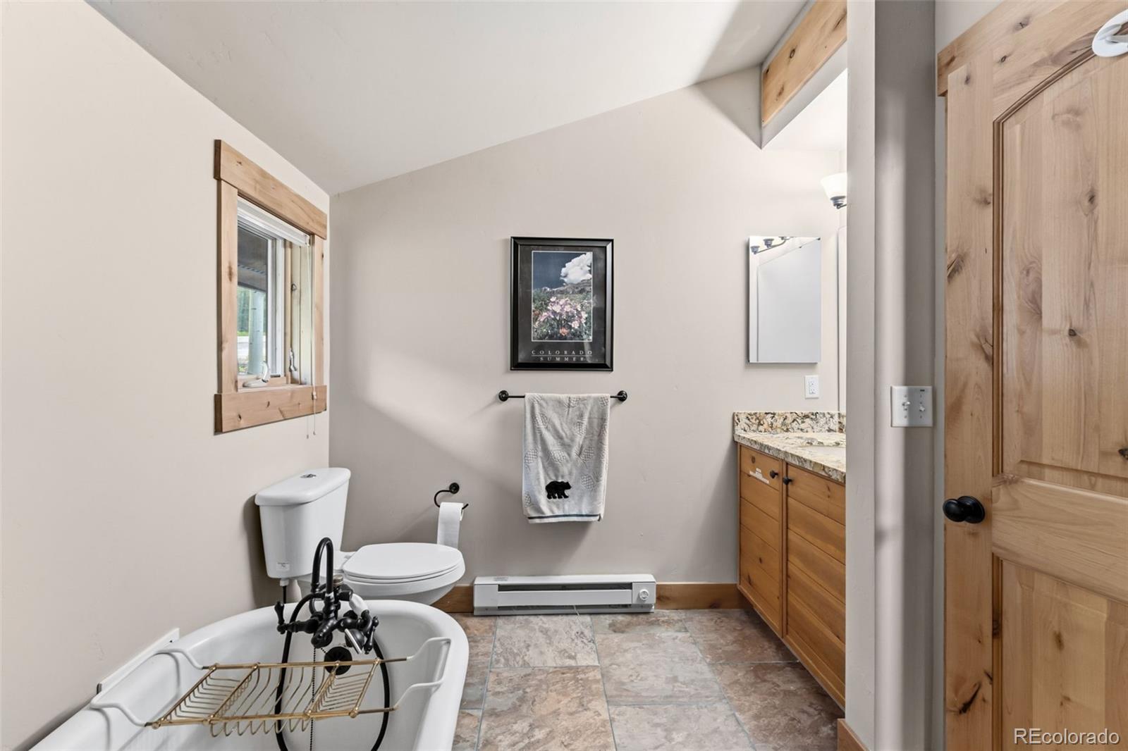 MLS Image #16 for 178  indiana creek drive,breckenridge, Colorado