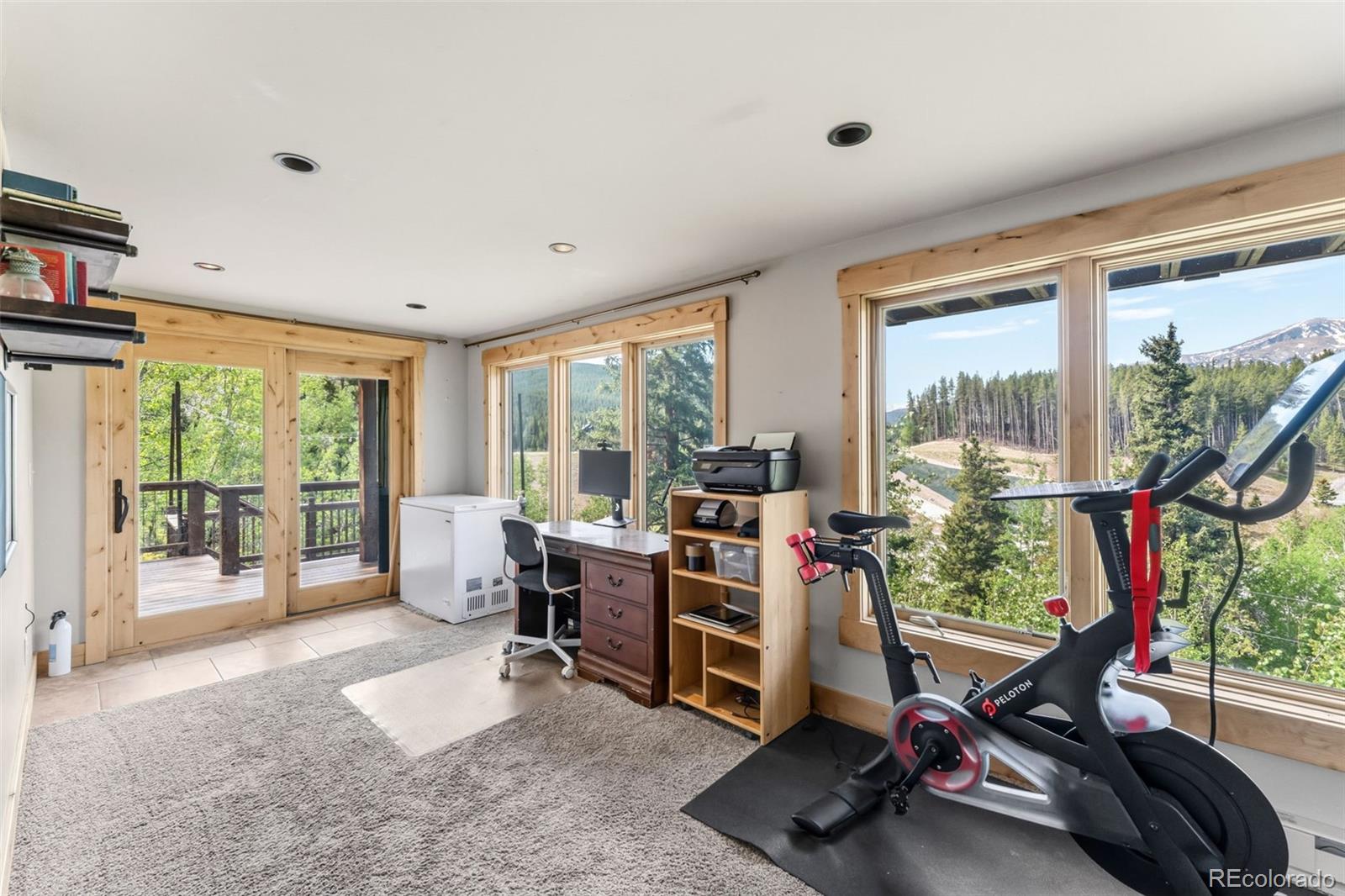 MLS Image #20 for 178  indiana creek drive,breckenridge, Colorado