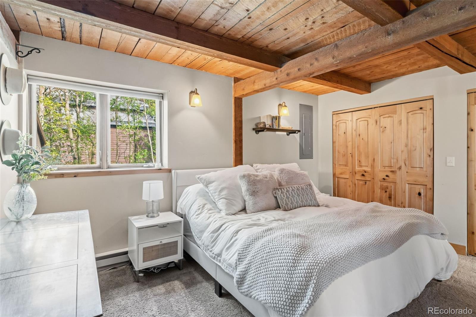 MLS Image #26 for 178  indiana creek drive,breckenridge, Colorado