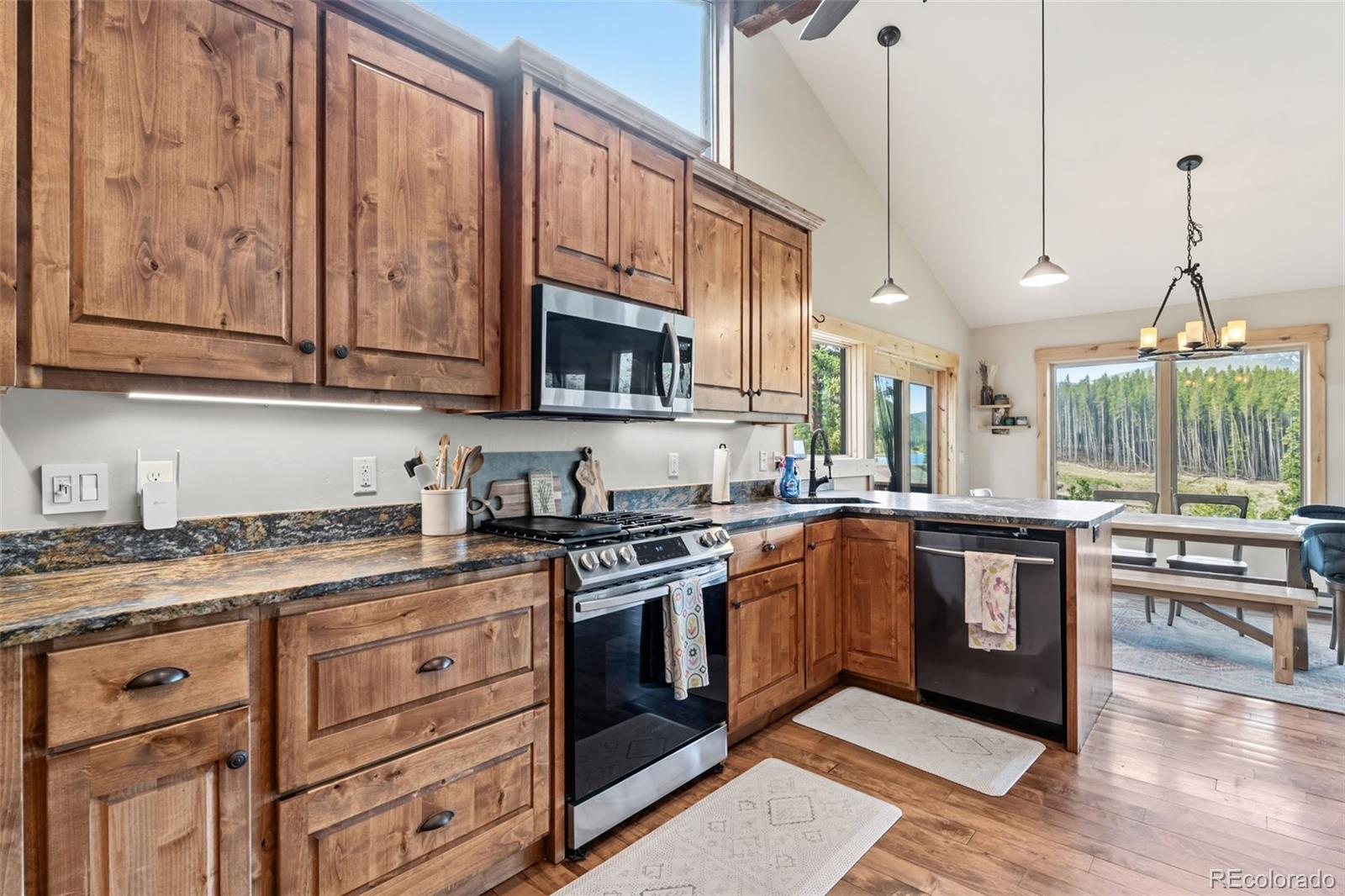 MLS Image #9 for 178  indiana creek drive,breckenridge, Colorado
