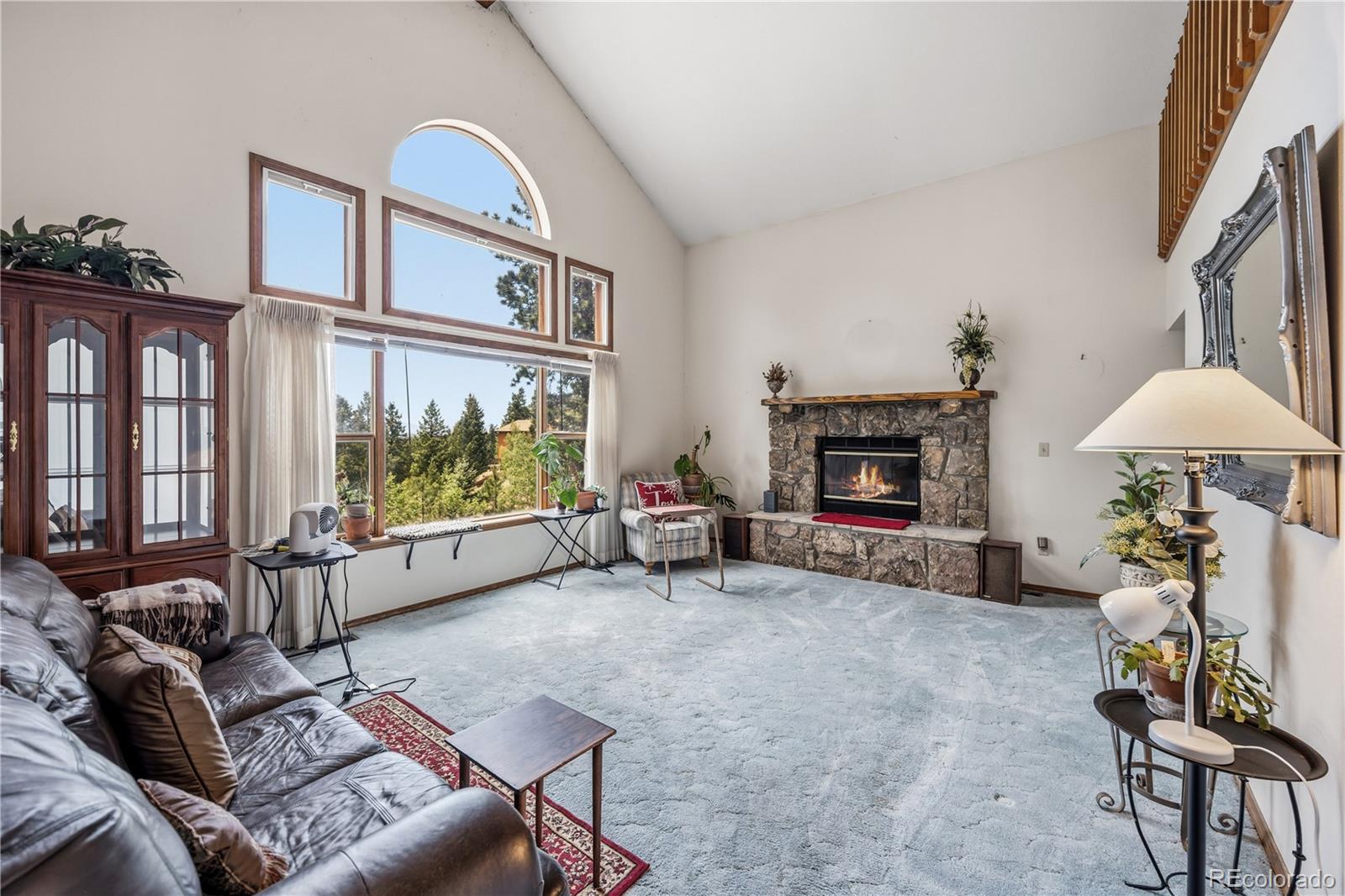 MLS Image #10 for 1241  forest edge road,woodland park, Colorado